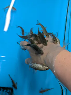 越前松島水族館に投稿された画像（2026/9/8）