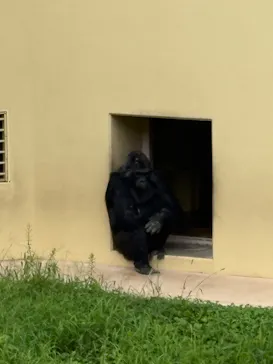 名古屋市東山動植物園に投稿された画像（2026/9/9）