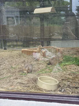 名古屋市東山動植物園に投稿された画像（2026/9/9）