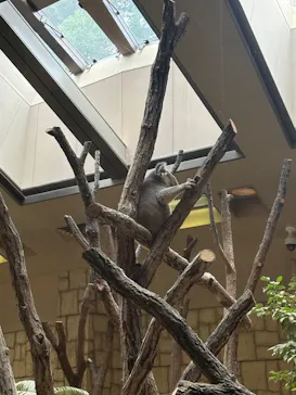 名古屋市東山動植物園に投稿された画像（2026/9/9）