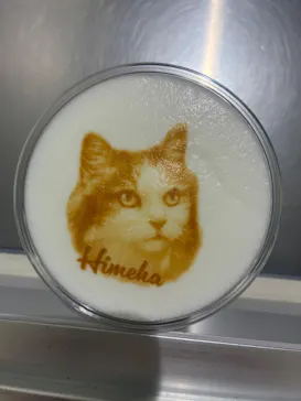 Cat Café MOFF アリオ倉敷店に投稿された画像（2026/9/9）