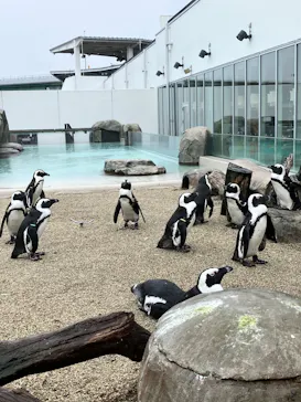 仙台うみの杜水族館に投稿された画像（2026/9/9）