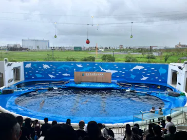 仙台うみの杜水族館に投稿された画像（2026/9/9）