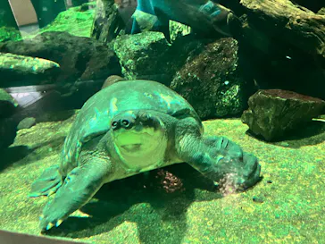 名古屋港水族館に投稿された画像（2026/9/9）
