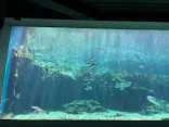 九十九島水族館海きららに投稿された画像（2026/9/9）