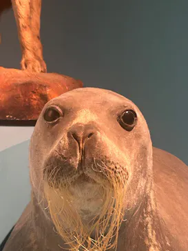 特別展「いきもの超ワールド展　国立科学博物館×ダーウィンが来た！」（国立科学博物館）に投稿された画像（2026/9/9）