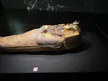 MYSTERY OF TUTANKHAMEN 体感型古代エジプト展に投稿された画像（2026/9/9）