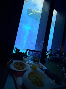 沖縄美ら海水族館に投稿された画像（2026/9/9）