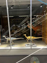 福井県立恐竜博物館に投稿された画像（2026/9/9）