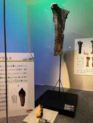 福井県立恐竜博物館に投稿された画像（2026/9/9）