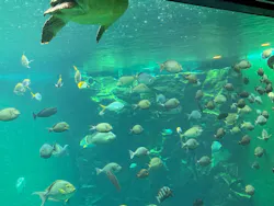 箱根園水族館に投稿された画像（2026/9/9）
