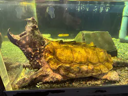 箱根園水族館に投稿された画像（2026/9/9）