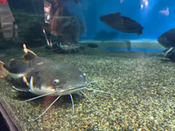 箱根園水族館に投稿された画像（2026/9/9）