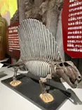 特別展　大絶滅展に投稿された画像（2026/9/9）