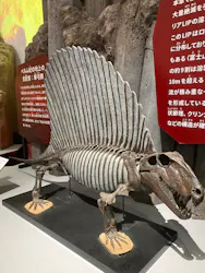 特別展　大絶滅展に投稿された画像（2026/9/9）