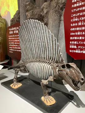 特別展　大絶滅展に投稿された画像（2026/9/9）
