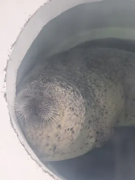 しながわ水族館に投稿された画像（2026/9/9）