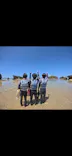 武藤潜水に投稿された画像（2026/9/10）