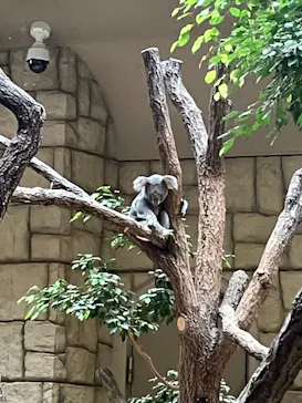 名古屋市東山動植物園に投稿された画像（2026/9/10）