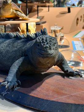 特別展「いきもの超ワールド展　国立科学博物館×ダーウィンが来た！」（国立科学博物館）に投稿された画像（2026/9/10）