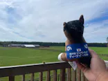 ノーザンホースパークに投稿された画像（2026/9/10）