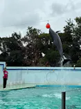 しながわ水族館に投稿された画像（2026/9/10）