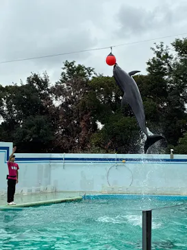 しながわ水族館に投稿された画像（2026/9/10）