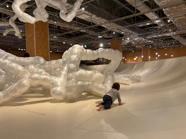 PLAY! PARK（プレイパーク）に投稿された画像（2026/9/10）