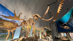 福井県立恐竜博物館に投稿された画像（2026/9/10）