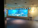 しながわ水族館に投稿された画像（2026/9/10）