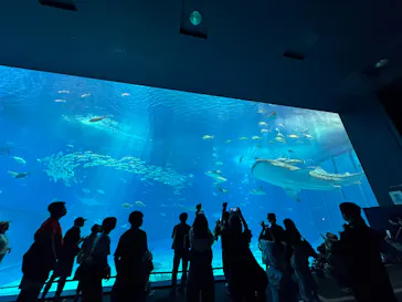 沖縄美ら海水族館に投稿された画像（2026/9/10）