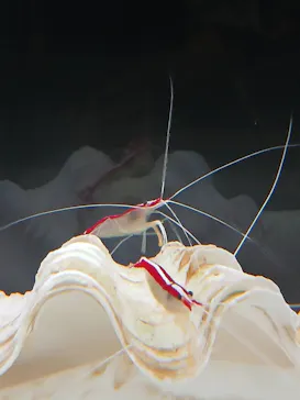 大分マリーンパレス水族館 「うみたまご」に投稿された画像（2026/9/10）