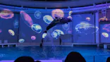 アクアワールド茨城県大洗水族館に投稿された画像（2026/9/10）