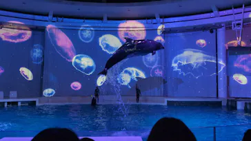 アクアワールド茨城県大洗水族館に投稿された画像（2026/9/10）