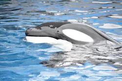 名古屋港水族館に投稿された画像（2026/9/10）