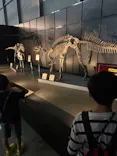 ヨコハマ恐竜展２０２６～恐竜の食卓大図鑑～に投稿された画像（2026/9/10）