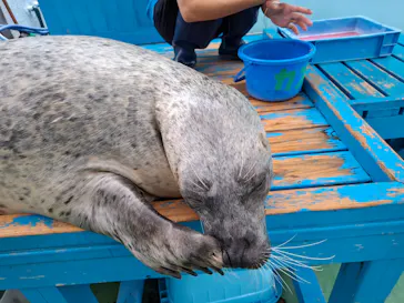 ゼロ距離水族館 伊勢シーパラダイスに投稿された画像（2026/9/10）