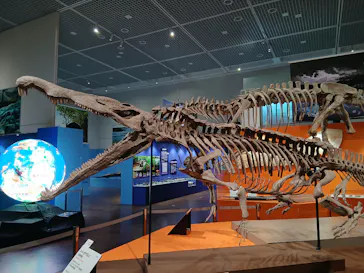特別展　大絶滅展に投稿された画像（2026/9/10）