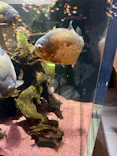 AQUARIUM × ART　atoaに投稿された画像（2026/9/11）