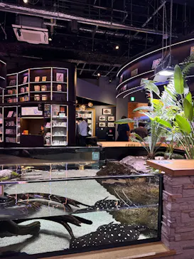 AQUARIUM × ART　atoaに投稿された画像（2026/9/11）