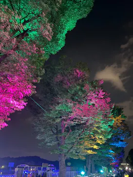 万博記念公園お祭り広場に投稿された画像（2026/9/11）