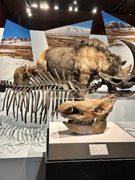 特別展「氷河期展　人類が見た４万年前の世界」（福岡会場）に投稿された画像（2026/9/11）