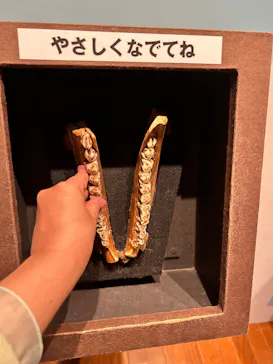 特別展「氷河期展　人類が見た４万年前の世界」（福岡会場）に投稿された画像（2026/9/11）
