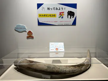 特別展「氷河期展　人類が見た４万年前の世界」（福岡会場）に投稿された画像（2026/9/11）