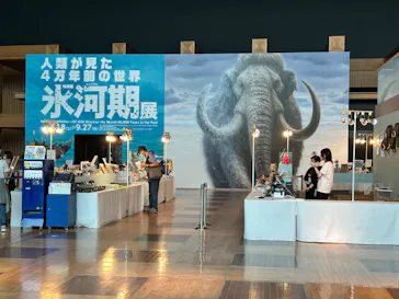 特別展「氷河期展　人類が見た４万年前の世界」（福岡会場）に投稿された画像（2026/9/11）