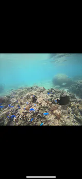 武藤潜水に投稿された画像（2026/9/11）