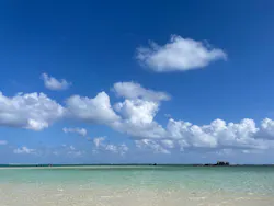 SeaChan石垣島に投稿された画像（2026/9/11）
