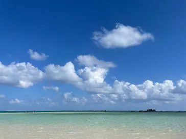 SeaChan石垣島に投稿された画像（2026/9/11）