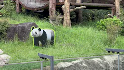 上野動物園 ハシビロカートに投稿された画像（2026/9/11）