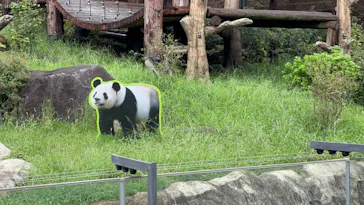 上野動物園 ハシビロカートに投稿された画像（2026/9/11）